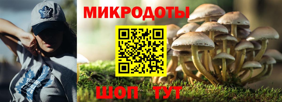 Обнинск  закладка  Галлюциногенные грибы Psilocybine cubensis  Вход с VPN  Псилоцибиновые грибы Cubensis 